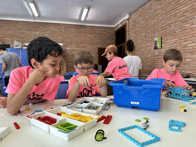 Información general Curso de verano 2024
